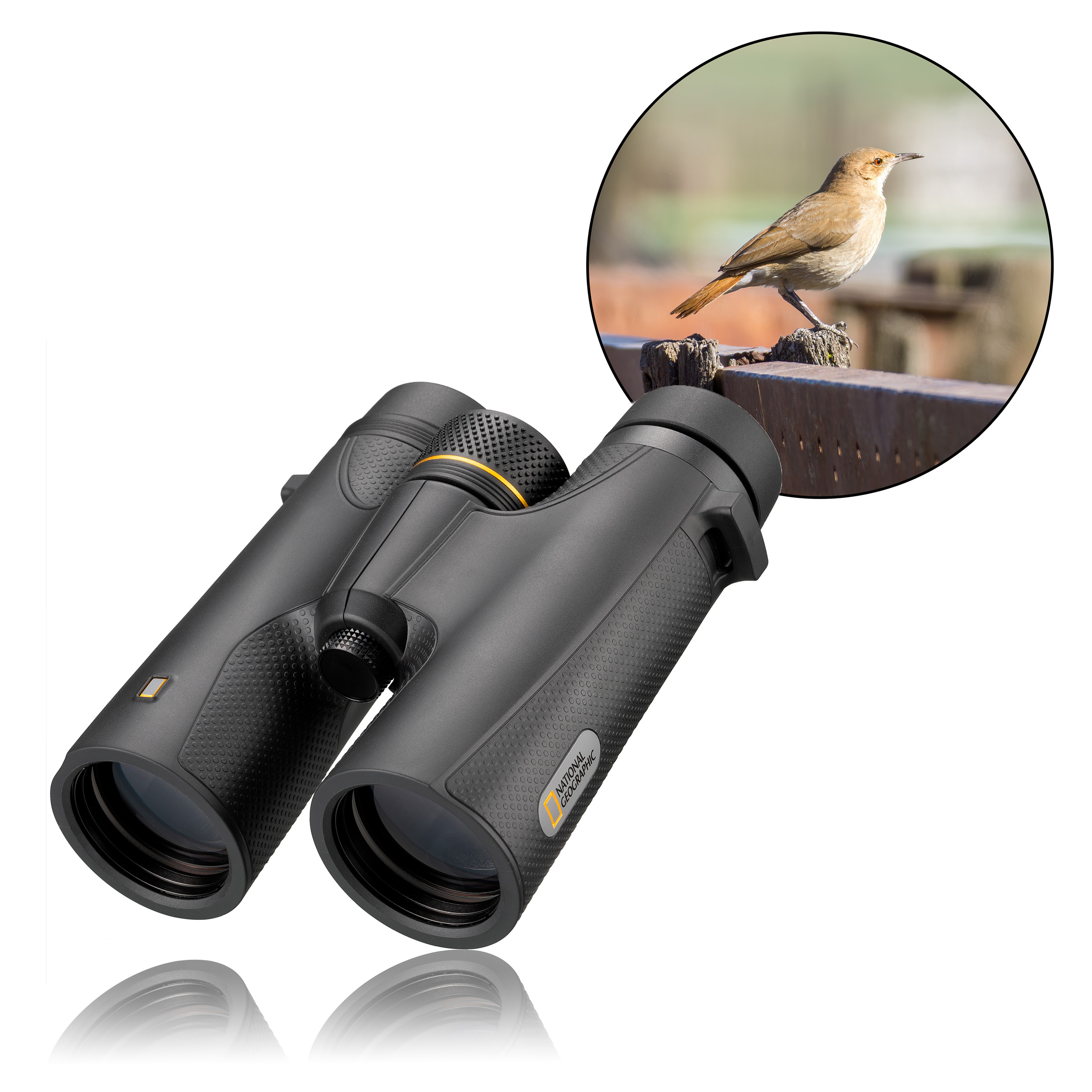 NATIONAL GEOGRAPHIC Explorer 8x42 Dürbün